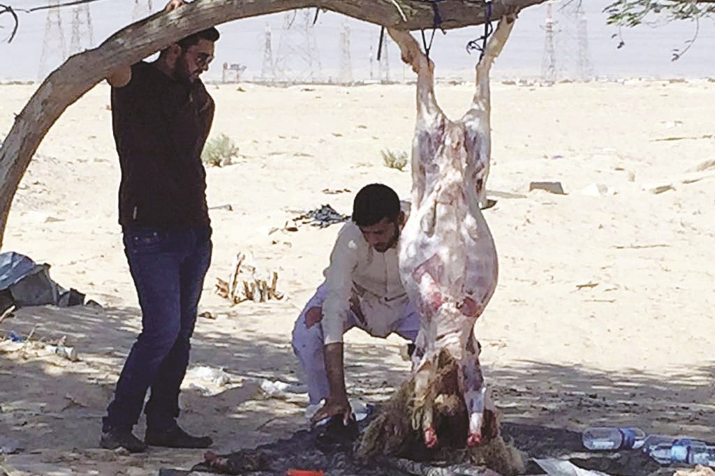 سلخ تحت الشجرة !