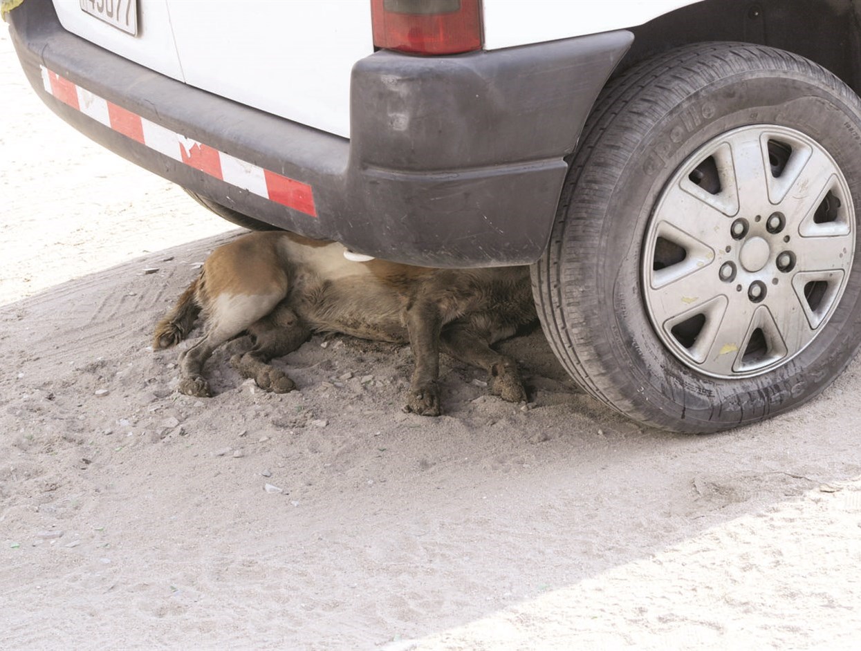 هروب من أشعة الشمس