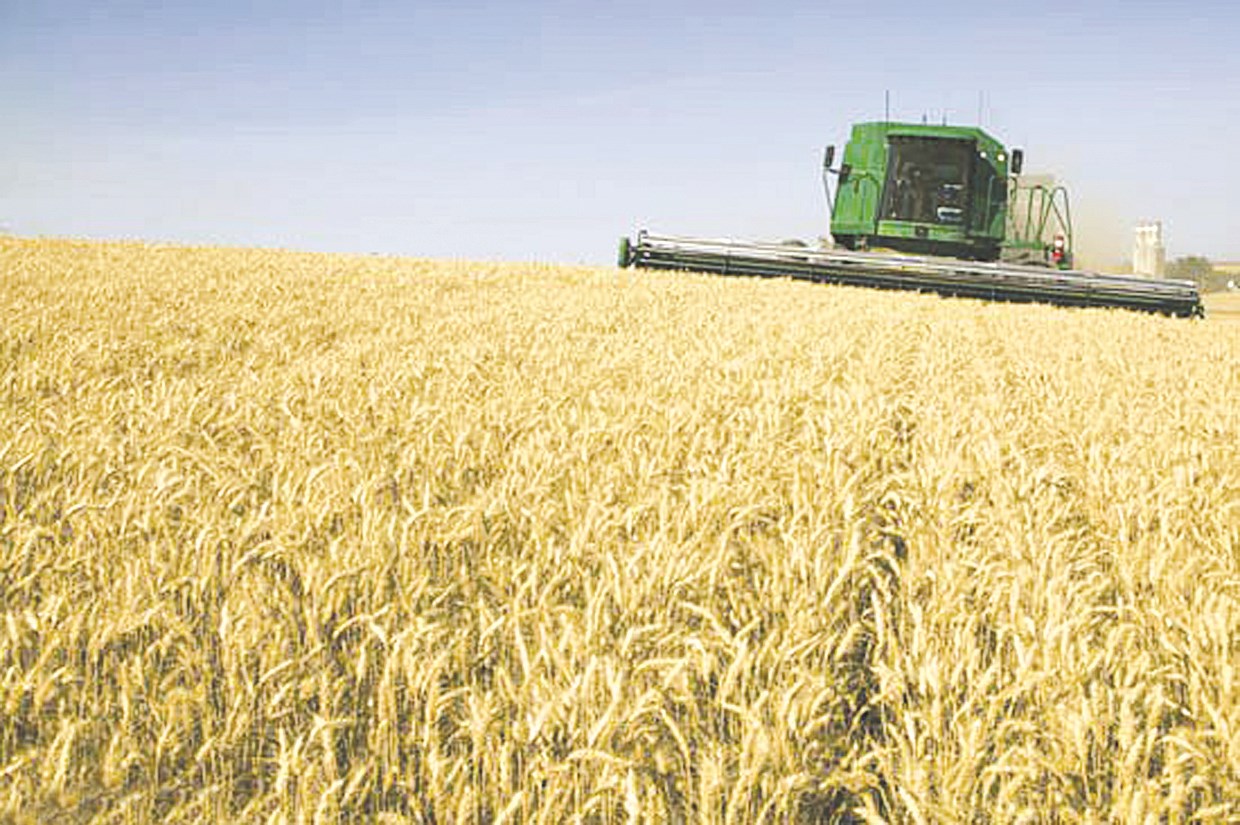 u0647u0644 u062au0631u0636u062e u00abu0627u0644u0645u0637u0627u062du0646u00bbu061f