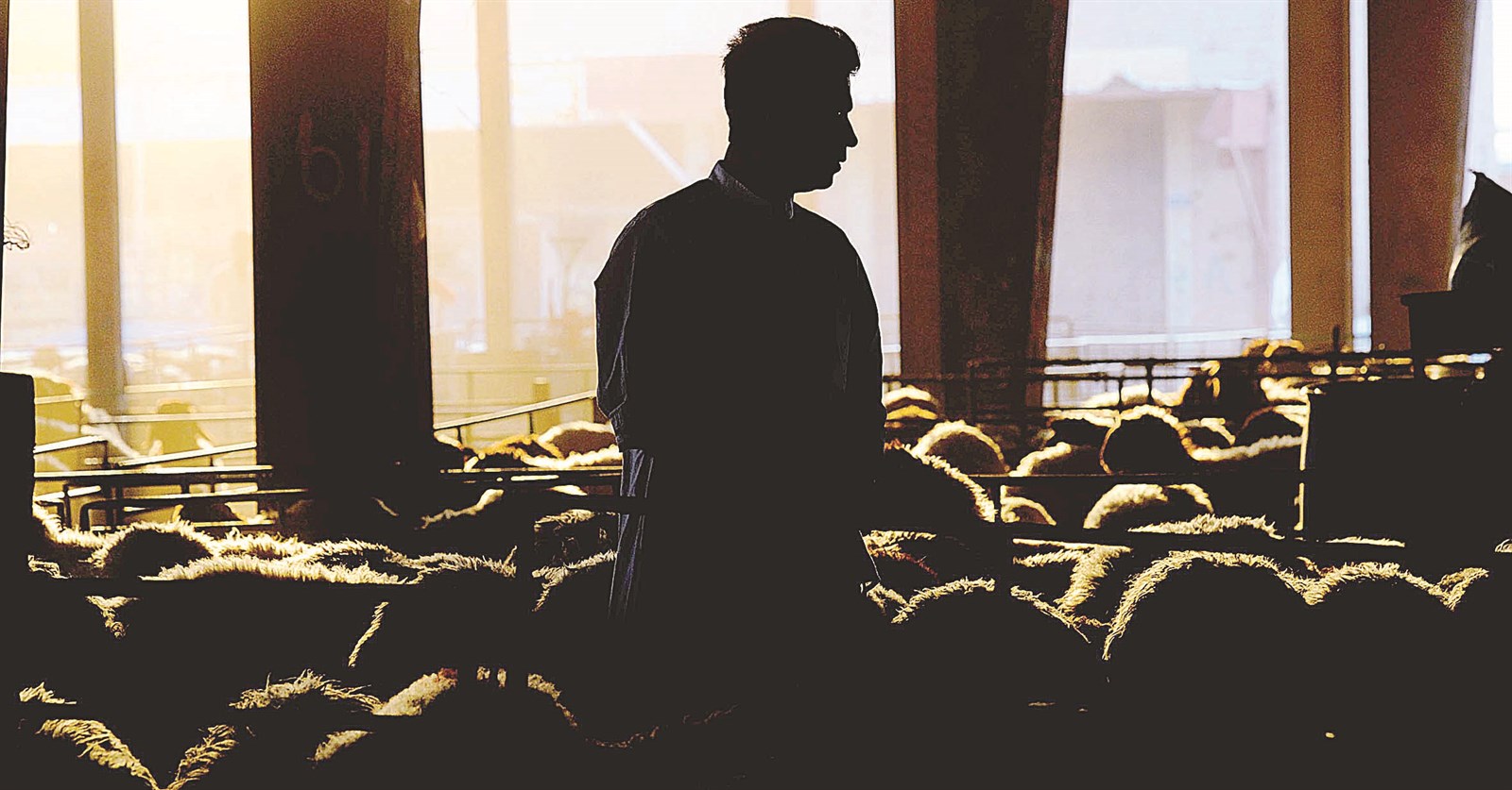 رؤية حكومية «غير واضحة» للاهتمام بسوق الأغنام