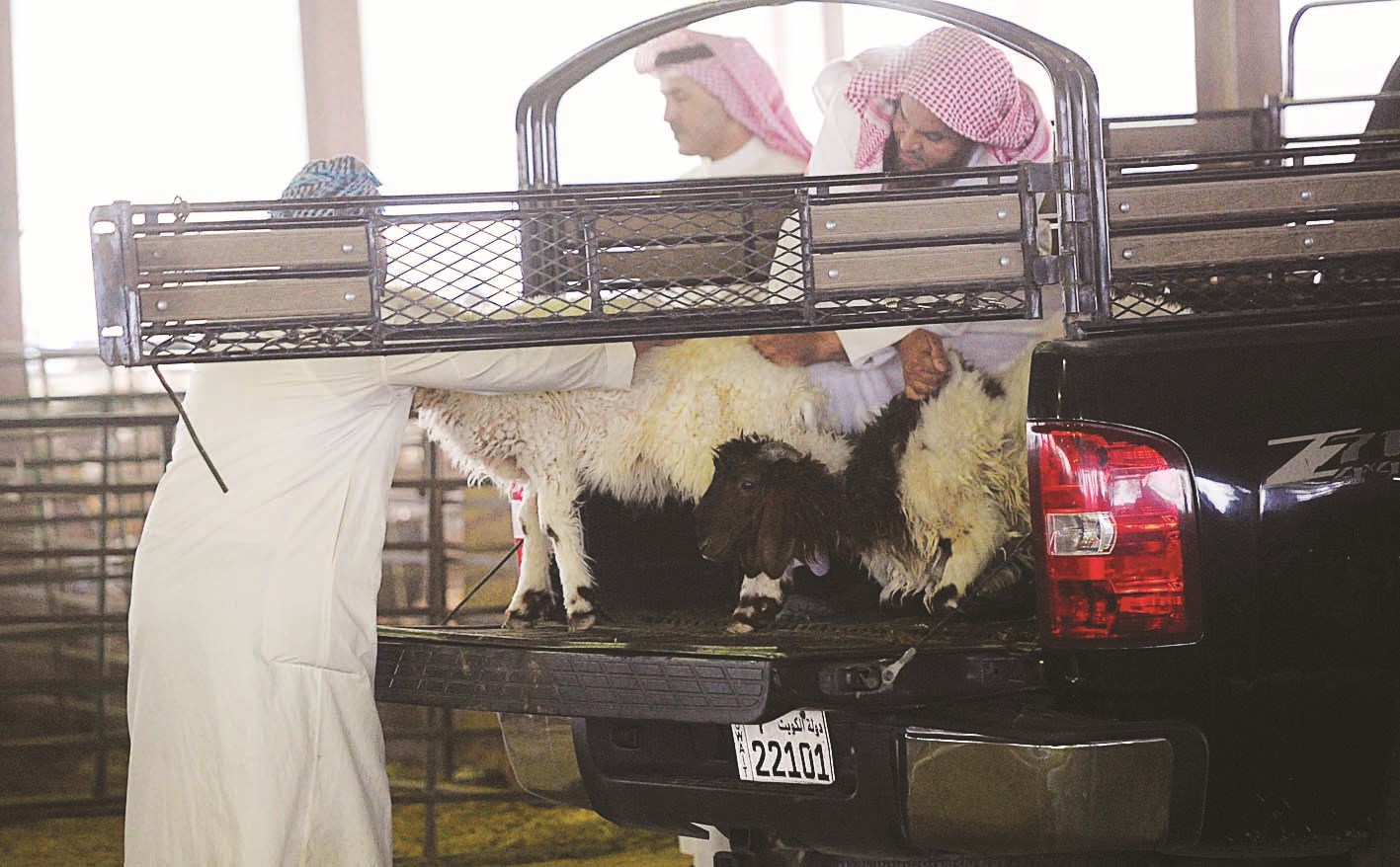 حصيلة يوم من البحث