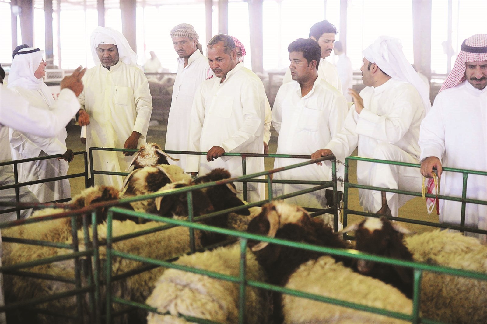 جانب من أحد المزادات