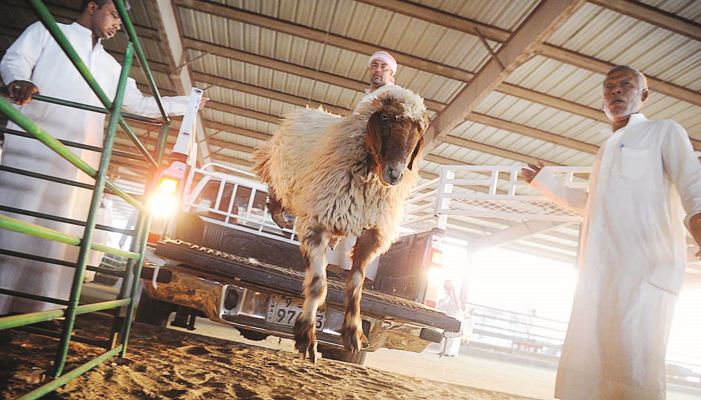 قفزة من الوانيت إلى السوق