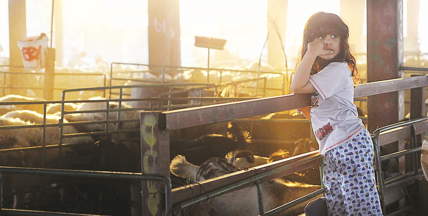 متابعة طفولية