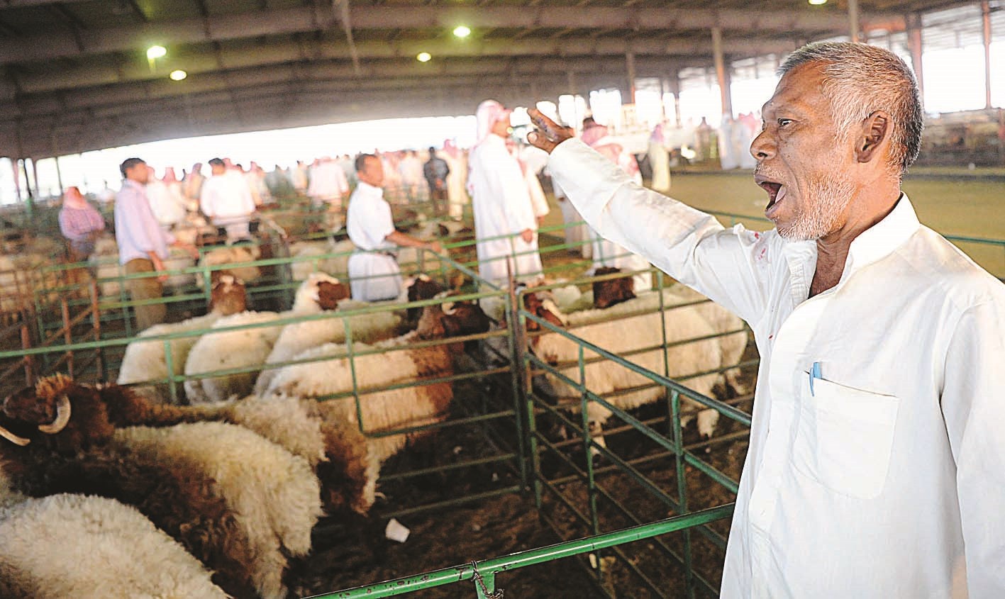 u062fu0644u0627u0644 u064au0631u0648u0651u062c u0644u0623u063au0646u0627u0645u0647           (u062au0635u0648u064au0631 u0646u0627u064au0641 u0627u0644u0639u0642u0644u0629)