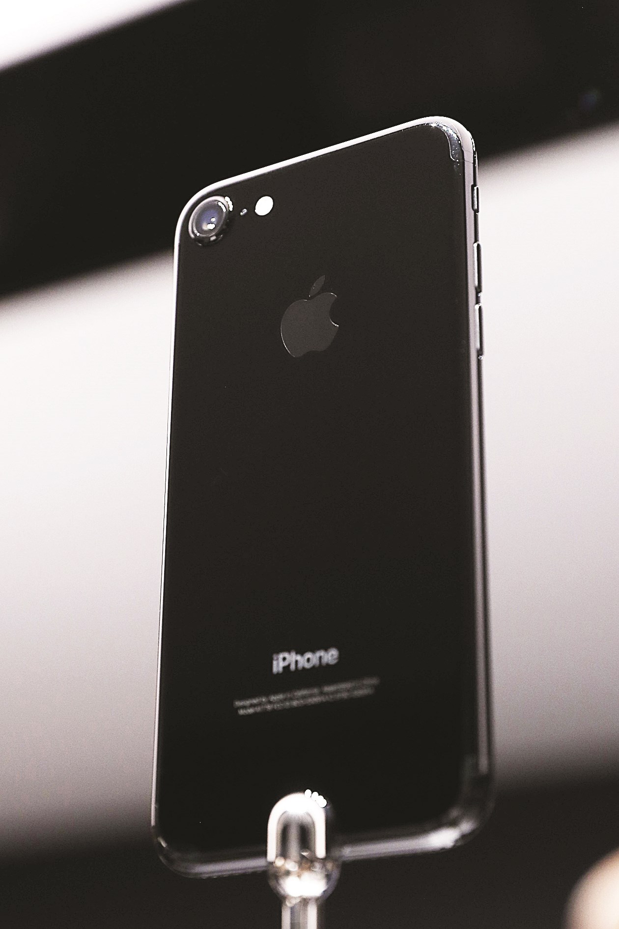 يشبه أسلافه كثيراً