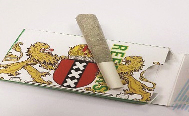 u0633u064au062cu0627u0631u0629 u0645u0644u063au0648u0645u0629 u0628u0627u0644u062du0634u064au0634