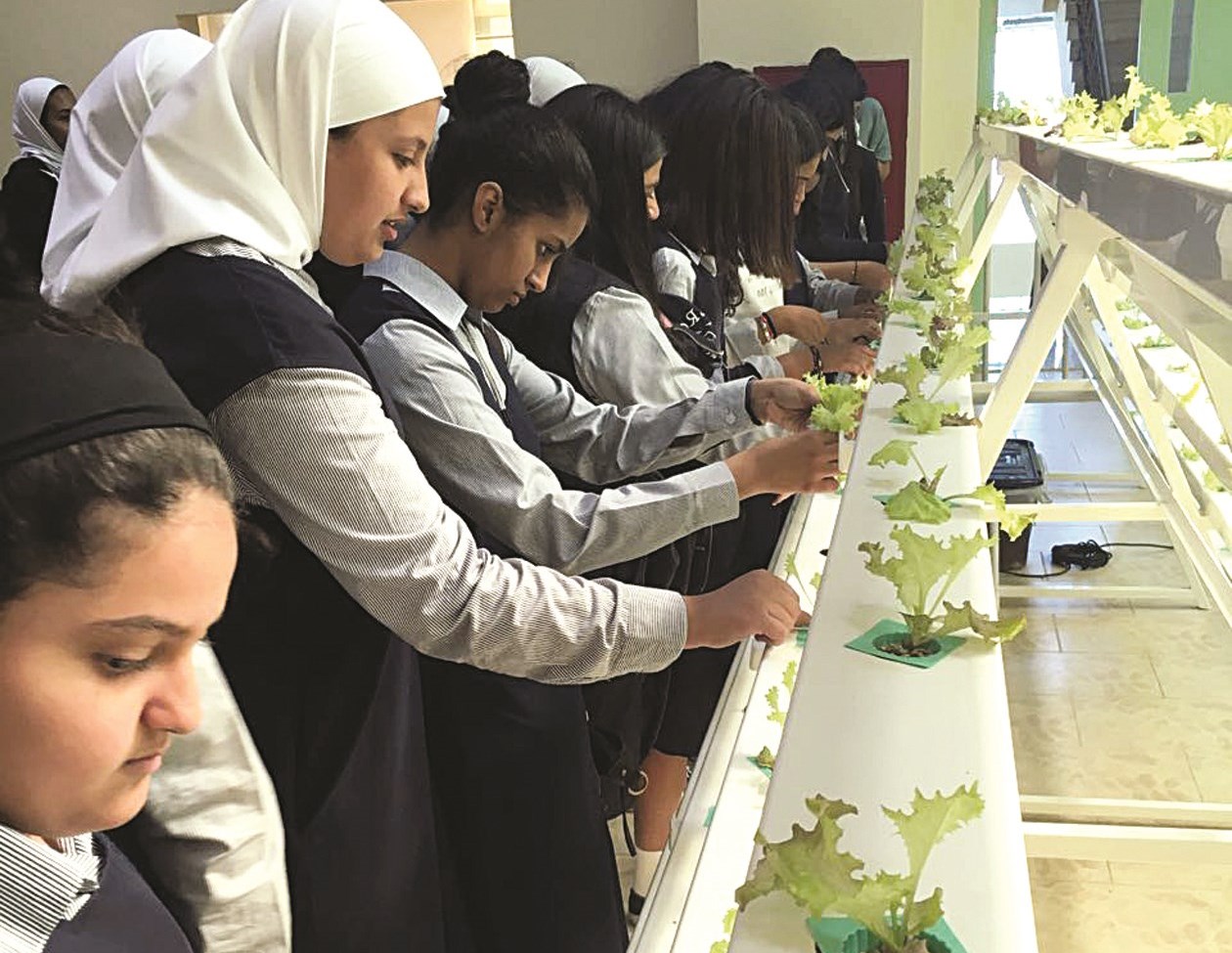 u0623u062du062f u0623u0646u0634u0637u0629 u00abu0627u0644u0645u062fu0627u0631u0633 u0627u0644u062eu0636u0631u0627u0621u00bb