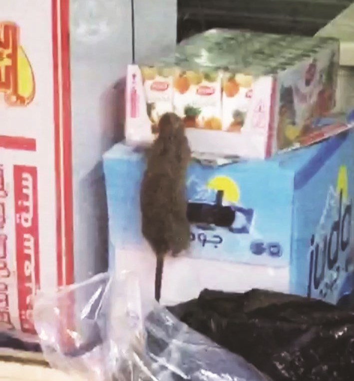 u062cu0631u0630 u064au0639u0628u062b u0628u0623u063au0630u064au0629 u0627u0644u0628u0634u0631!