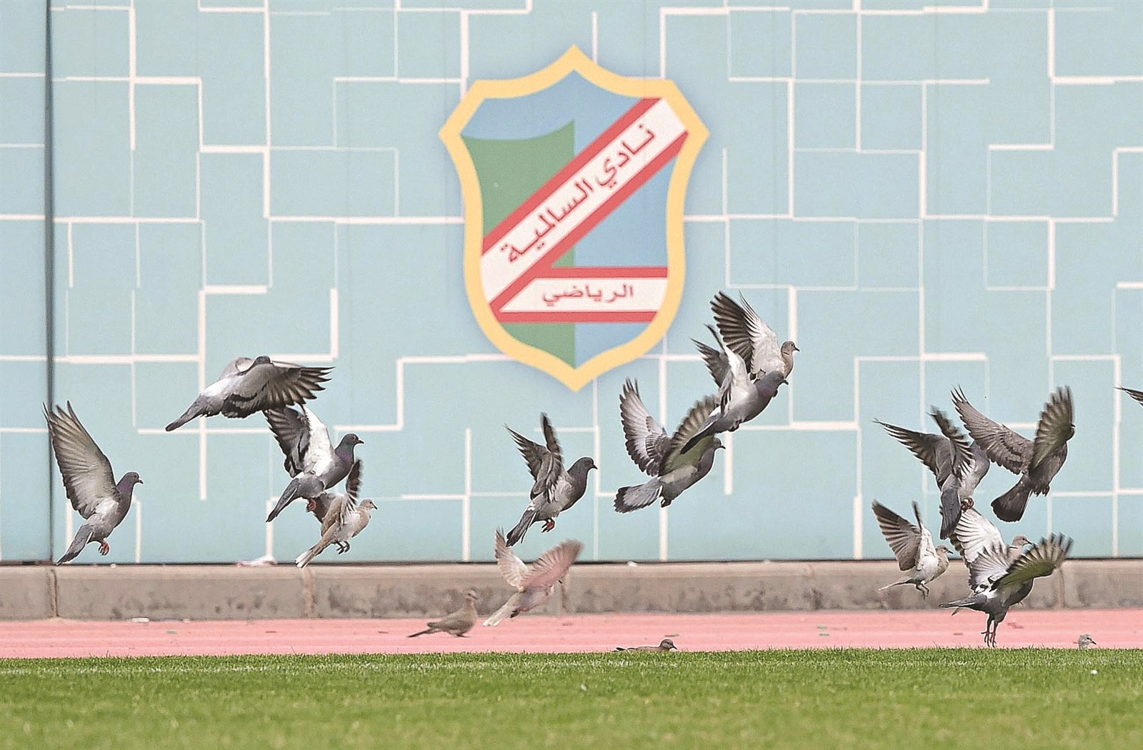 u0645u0634u0643u0644u0629 u062cu062fu064au062fu0629 u062au0648u0627u062cu0647 u0646u0627u062fu064a u0627u0644u0633u0627u0644u0645u064au0629          (u062au0635u0648u064au0631 u062cu0627u0633u0645 u0628u0627u0631u0648u0646)