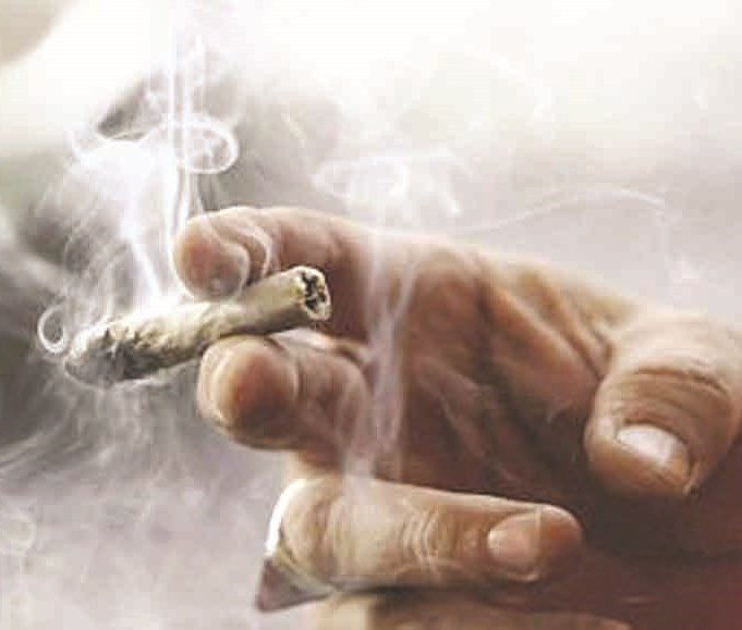 u0633u062cu0627u0626u0631 u0627u0644u062du0634u064au0634 u062au0646u062au0634u0631 u0641u064a u0627u0644u0645u062cu062au0645u0639 u0627u0644u0645u062fu0631u0633u064a