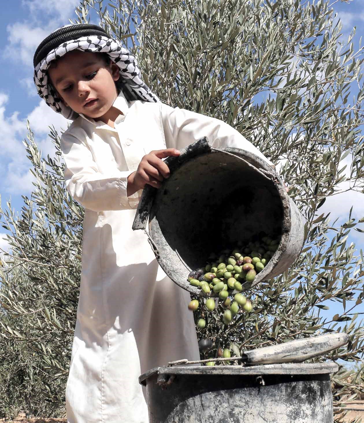 u0637u0641u0644 u0641u0644u0633u0637u064au0646u064a u064au0634u0627u0631u0643 u0641u064a u062du0635u0627u062f u0627u0644u0632u064au062au0648u0646 u0628u062eu0627u0646 u064au0648u0646u0633 u062cu0646u0648u0628 u063au0632u0629    (u0623 u0641 u0628)