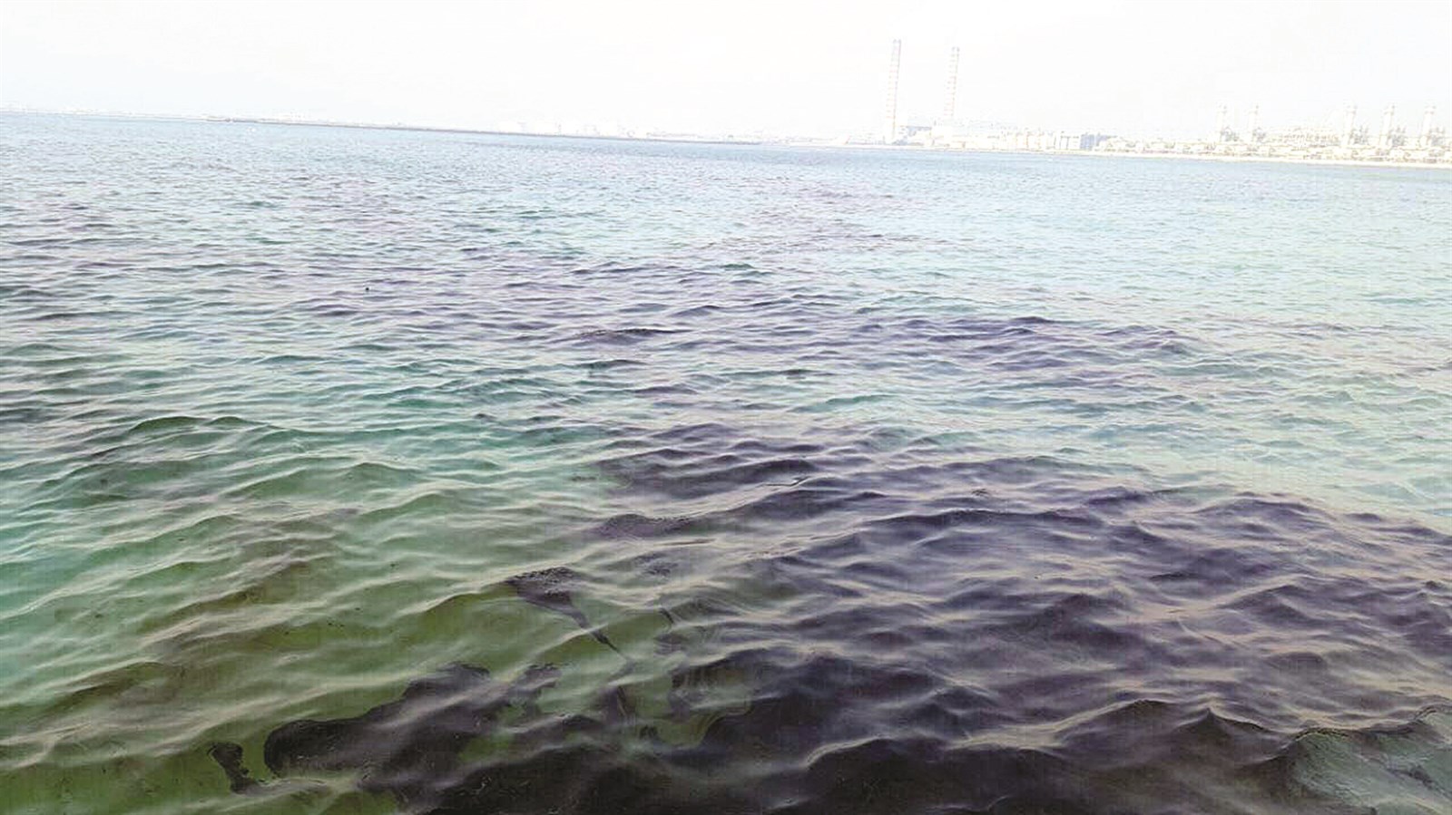 u062cu0627u0646u0628 u0645u0646 u0627u0644u062au0633u0631u0628 u0627u0644u0630u064a u0644u0648u0651u062b u0627u0644u0628u064au0626u0629 u0627u0644u0628u062du0631u064au0629