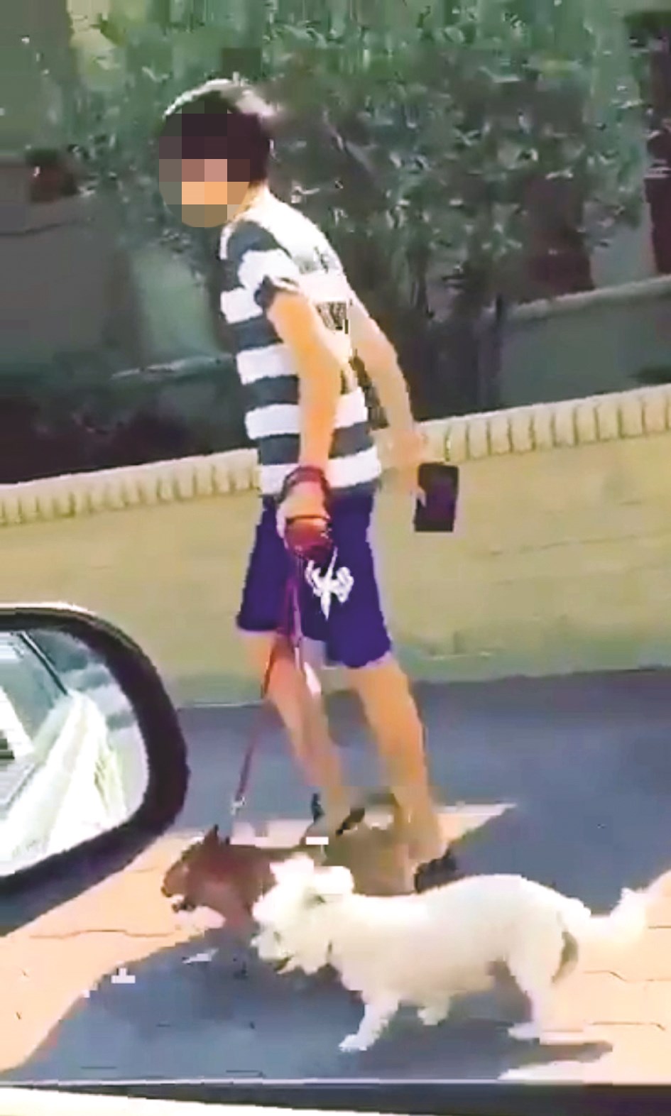 u0635u0648u0631u0629 u0645u0646 u0627u0644u0645u0642u0637u0639 u0627u0644u062au062fu0627u0648u0644