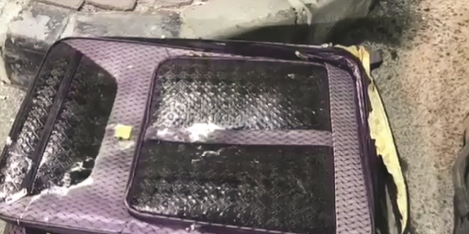 إحدى الحقائب التي هربت داخلها الصقور