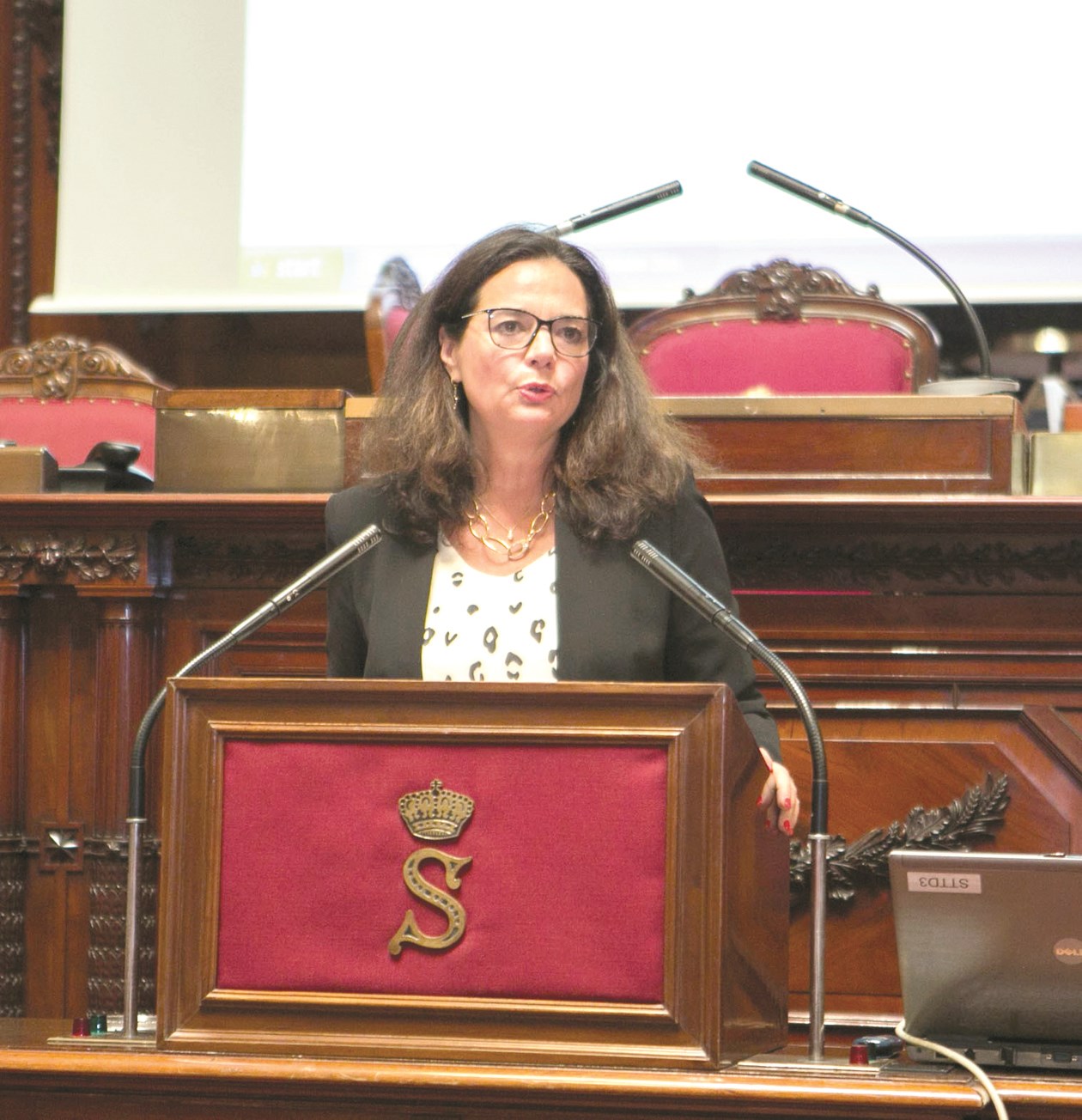 u0643u0631u0633u062au064au0646 u062fu0648u0641u0631u064au0646