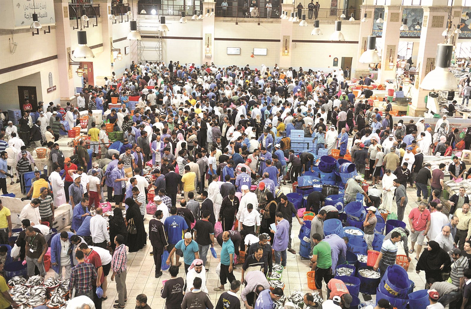 u0633u0648u0642 u0627u0644u0633u0645u0643 u0643u0645u0627 u0628u062fu0627 u0623u0645u0633... u062du0636u0648u0631 u064au063au0644u0628 u0639u0644u064au0647 u0627u0644u062fu0644u0627u0644u0648u0646 u0648u0627u0644u0634u0631u064au0637u064au0629b(u062au0635u0648u064au0631 u0633u0639u062f u0647u0646u062fu0627u0648u064a)