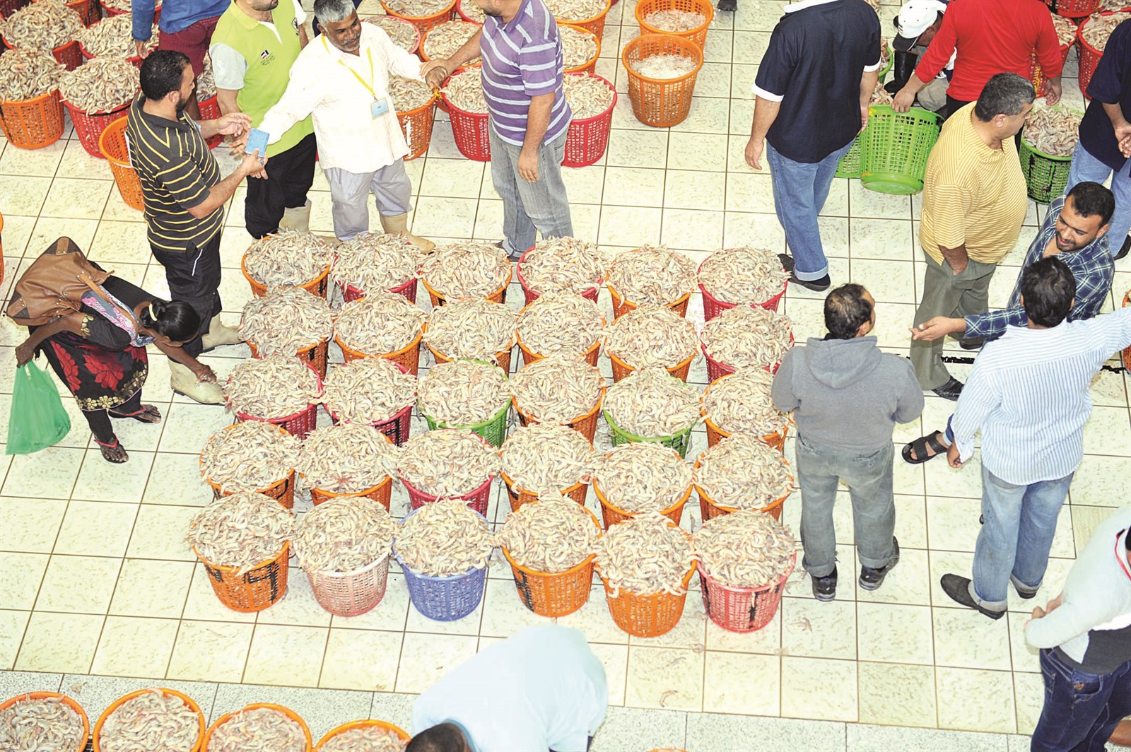 الروبيان الشحامي جاهز للبيع