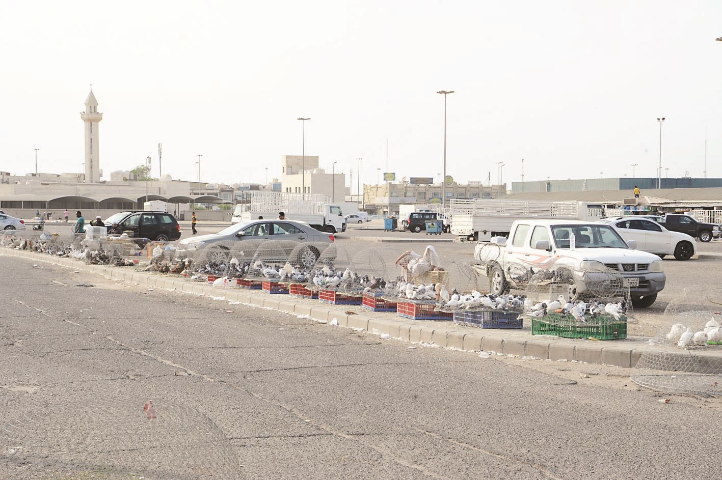 الأقفاص تمتد على طول الرصيف