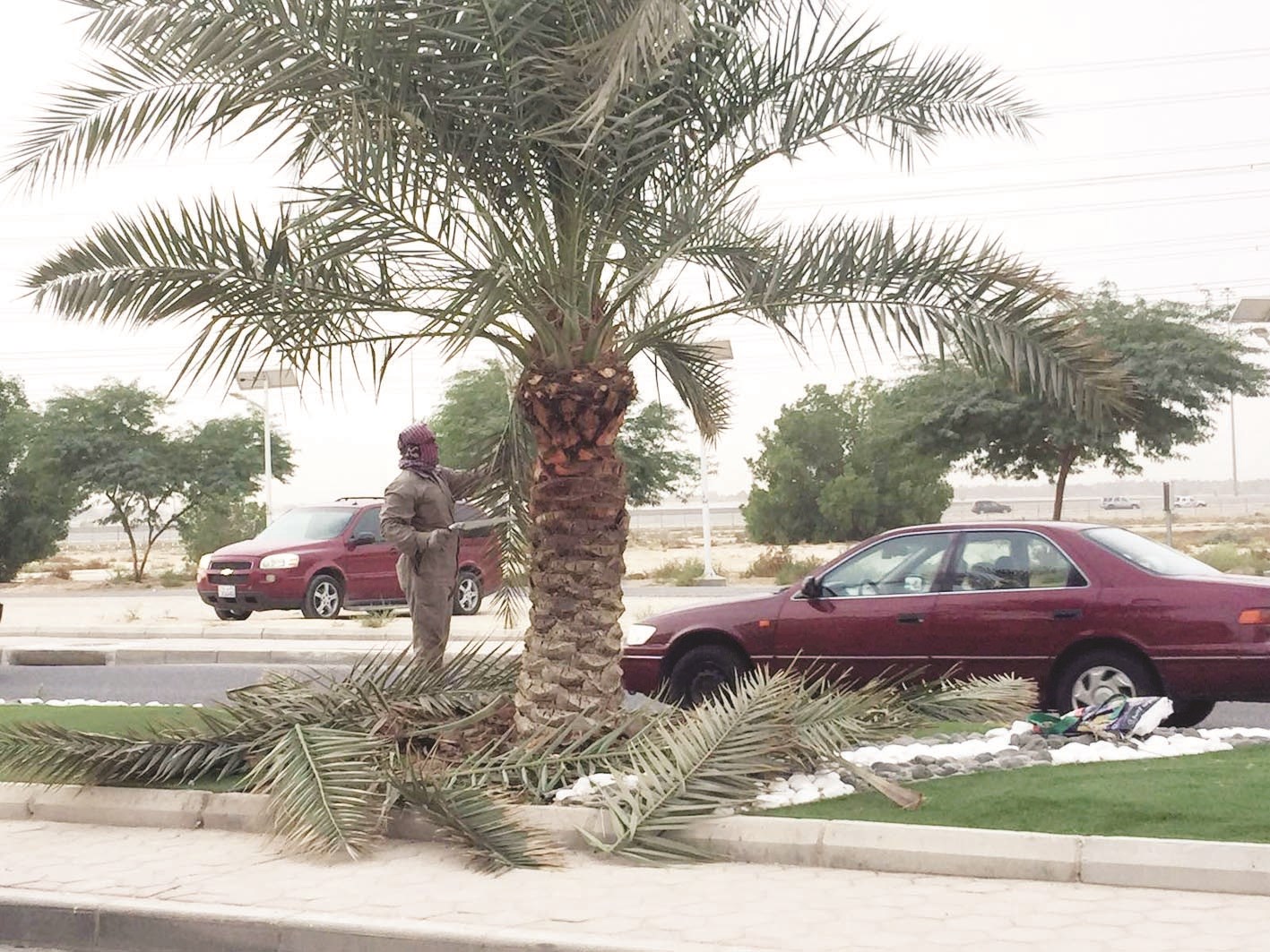 u062au062cu0645u064au0644 u0627u0644u0634u0648u0627u0631u0639