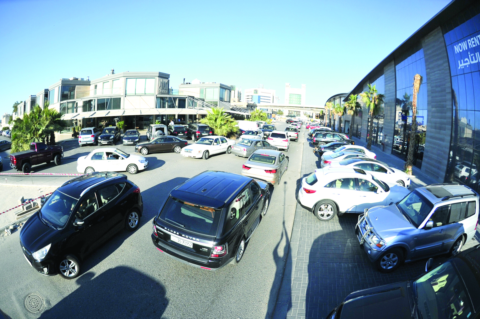 سيارات تبحث عن مكان		 (تصوير سعد هنداوي)