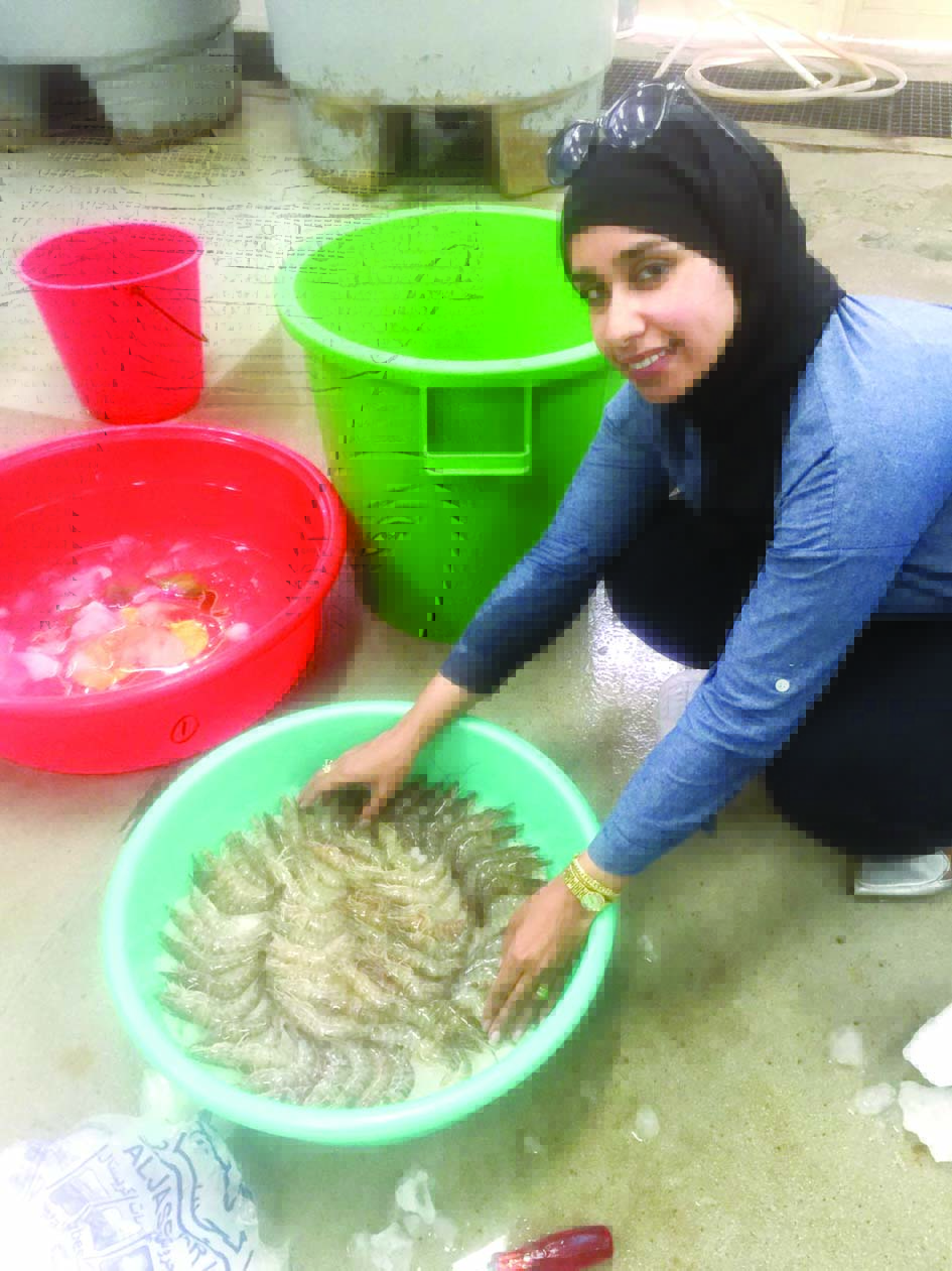 u0627u0644u0633u0628u064au0639u064a u062au0639u0627u064au0646 u0643u0645u064au0629 u0645u0646 u0627u0644u0631u0648u0628u064au0627u0646 u0627u0644u0645u0633u062au0632u0631u0639