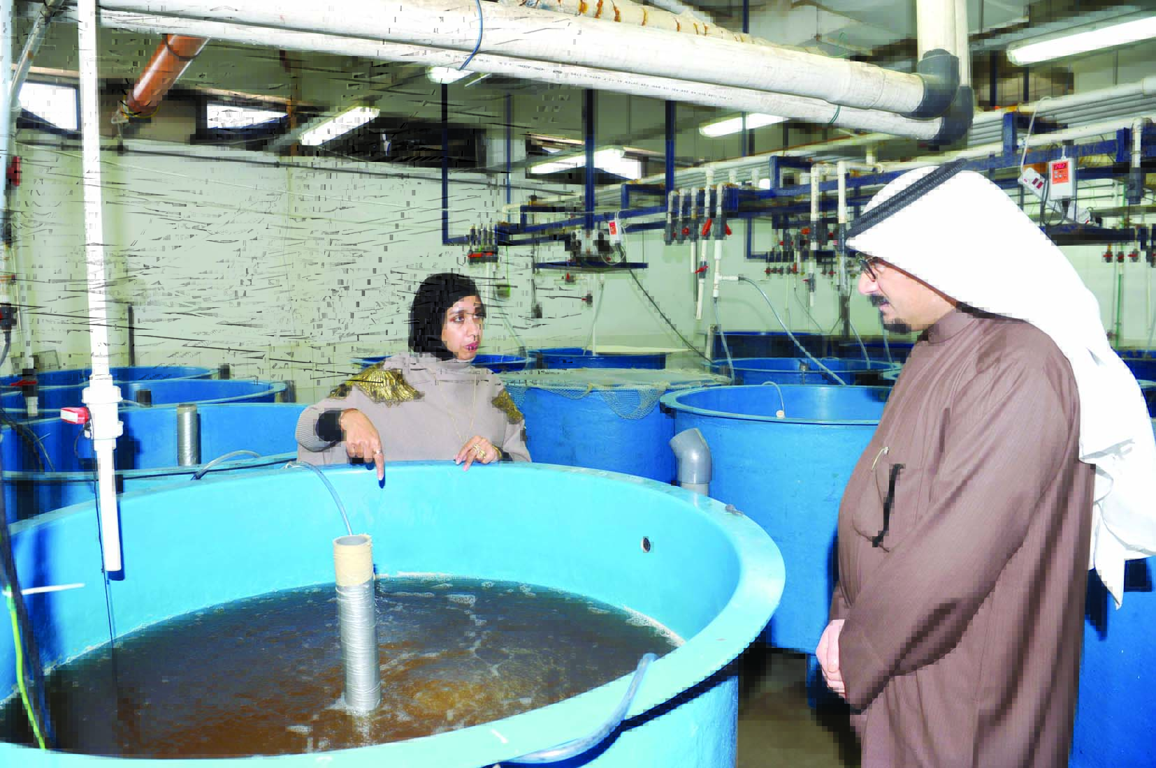 السبيعي تشرح للزميل ناصر الفرحان طريقة استزراع الروبيان