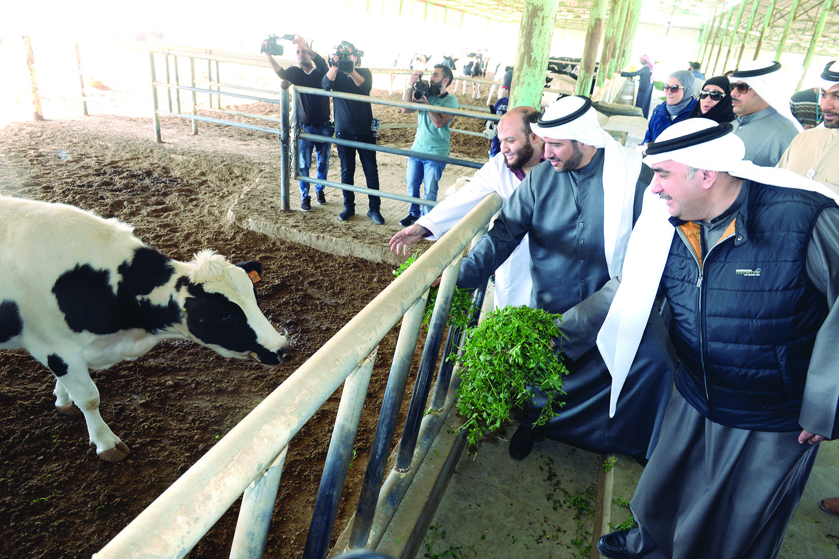 u0627u0644u0623u062du0645u062f u0648u0627u0644u062du0633u0627u0648u064a u064au0637u0644u0639u0627u0646 u0639u0644u0649 u062du0638u0627u0626u0631 u0627u0644u0623u0628u0642u0627u0631 u0645u0646 u0627u0644u0625u0646u062au0627u062c u0627u0644u0645u062du0644u064a       (u062au0635u0648u064au0631 u0632u0643u0631u064au0627 u0639u0637u064au0629)