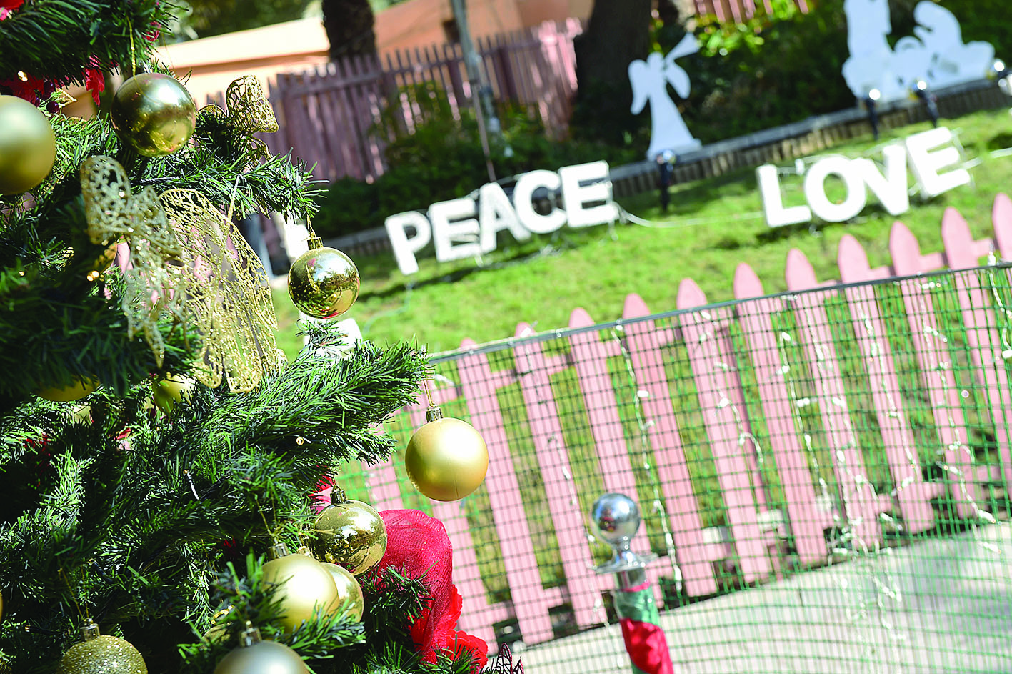 u0627u0644u0645u062du0628u0629 u0648u0627u0644u0633u0644u0627u0645 u0634u0639u0627u0631 u0627u062du062au0641u0627u0644u0627u062a u0627u0644u0643u0646u0627u0626u0633 u0628u0623u0639u064au0627u062f u0627u0644u0645u064au0644u0627u062ft(u062au0635u0648u064au0631 u0623u0633u0639u062f u0639u0628u062fu0627u0644u0644u0647)