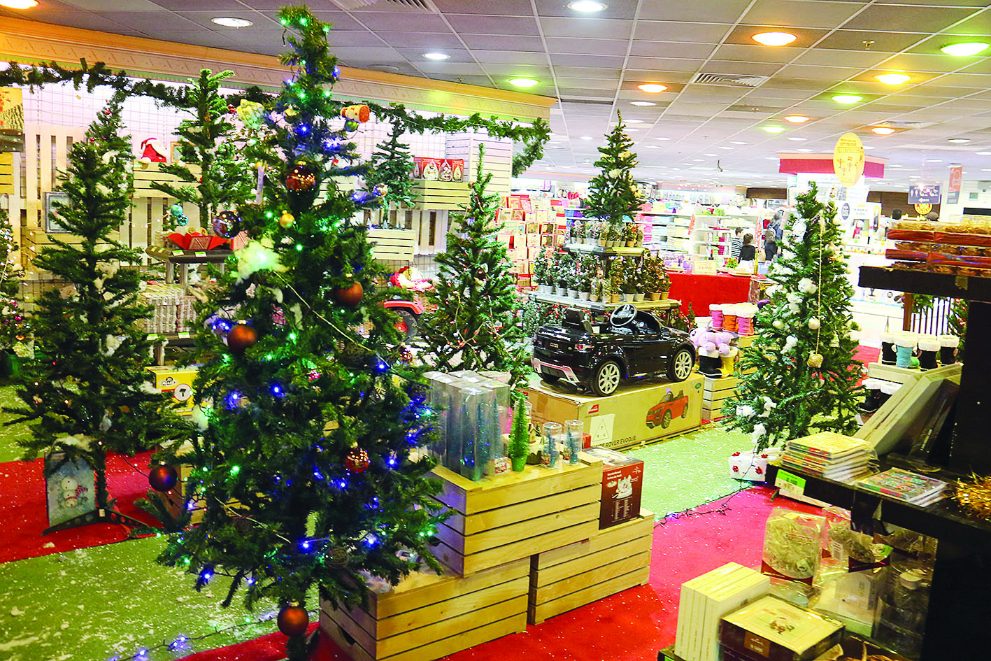 أشجار الكريسماس