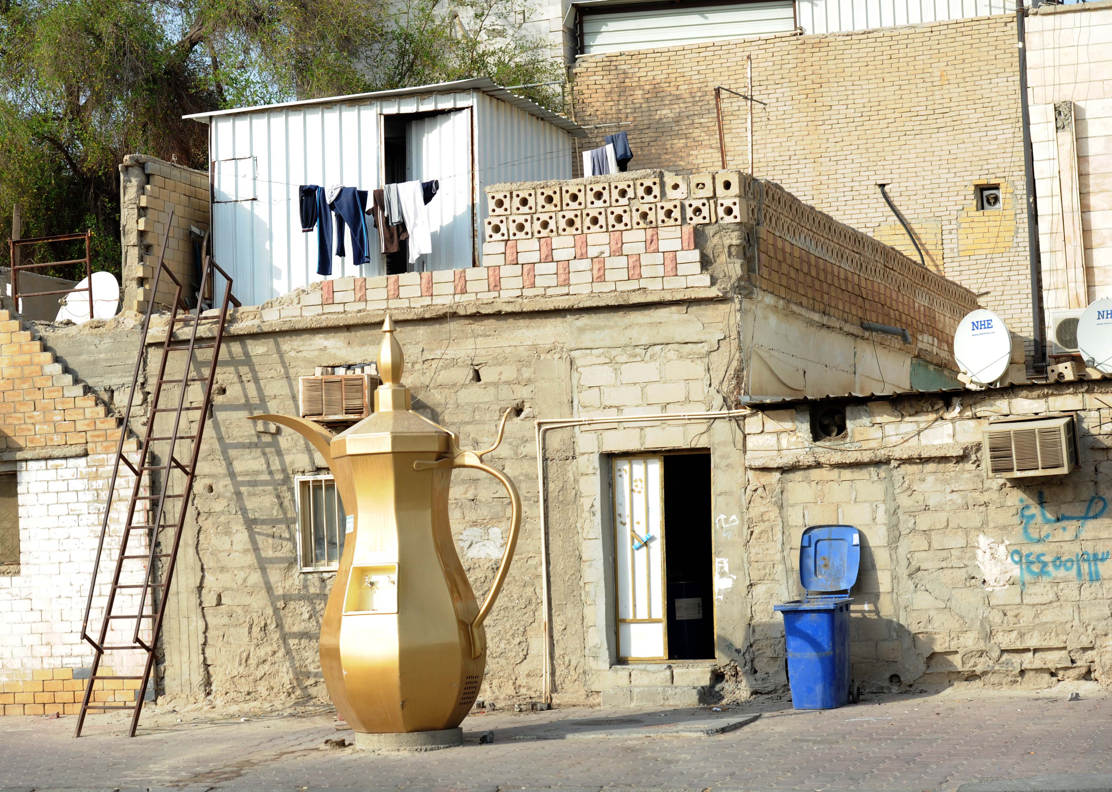 العزاب في السكن الخاص