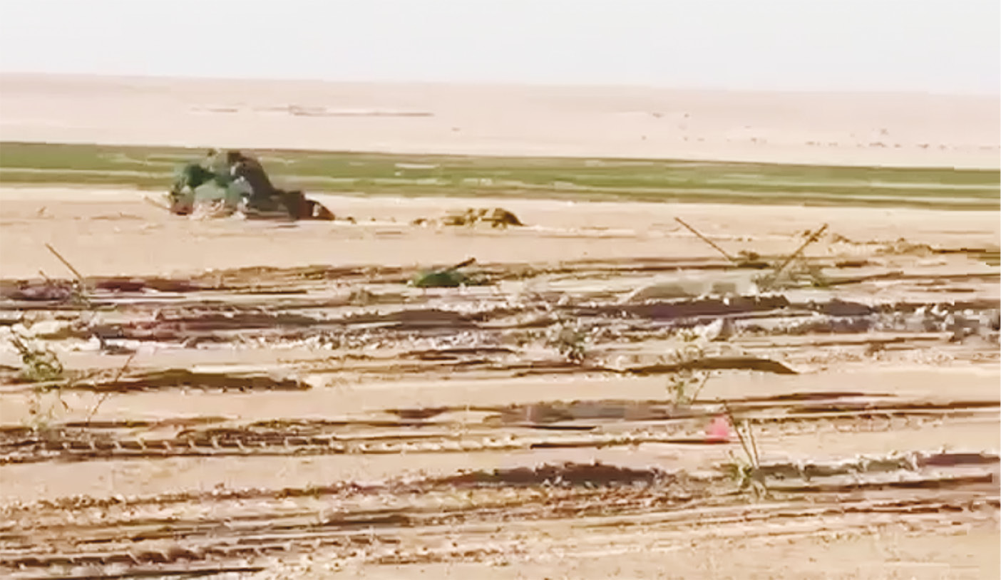 ما تبقى من الأرض التي ابتاعها الديحاني