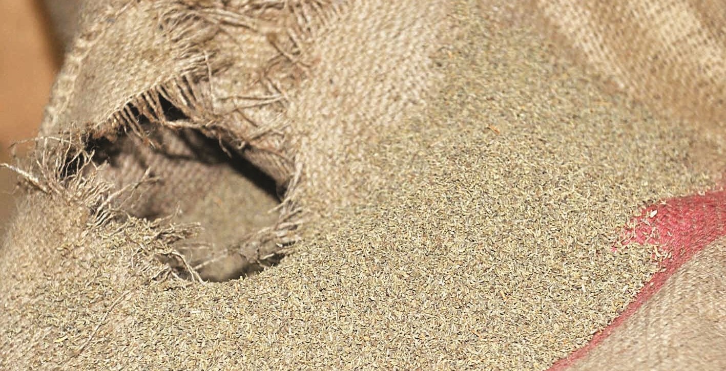 يانسون معد للتعبئة