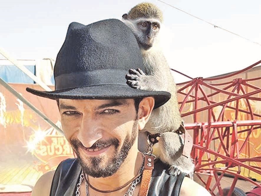 عمرو واكد في «القرد بيتكلم»