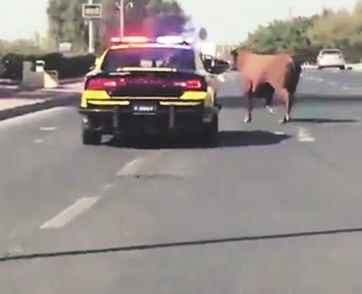 ... ويعترض الطريق