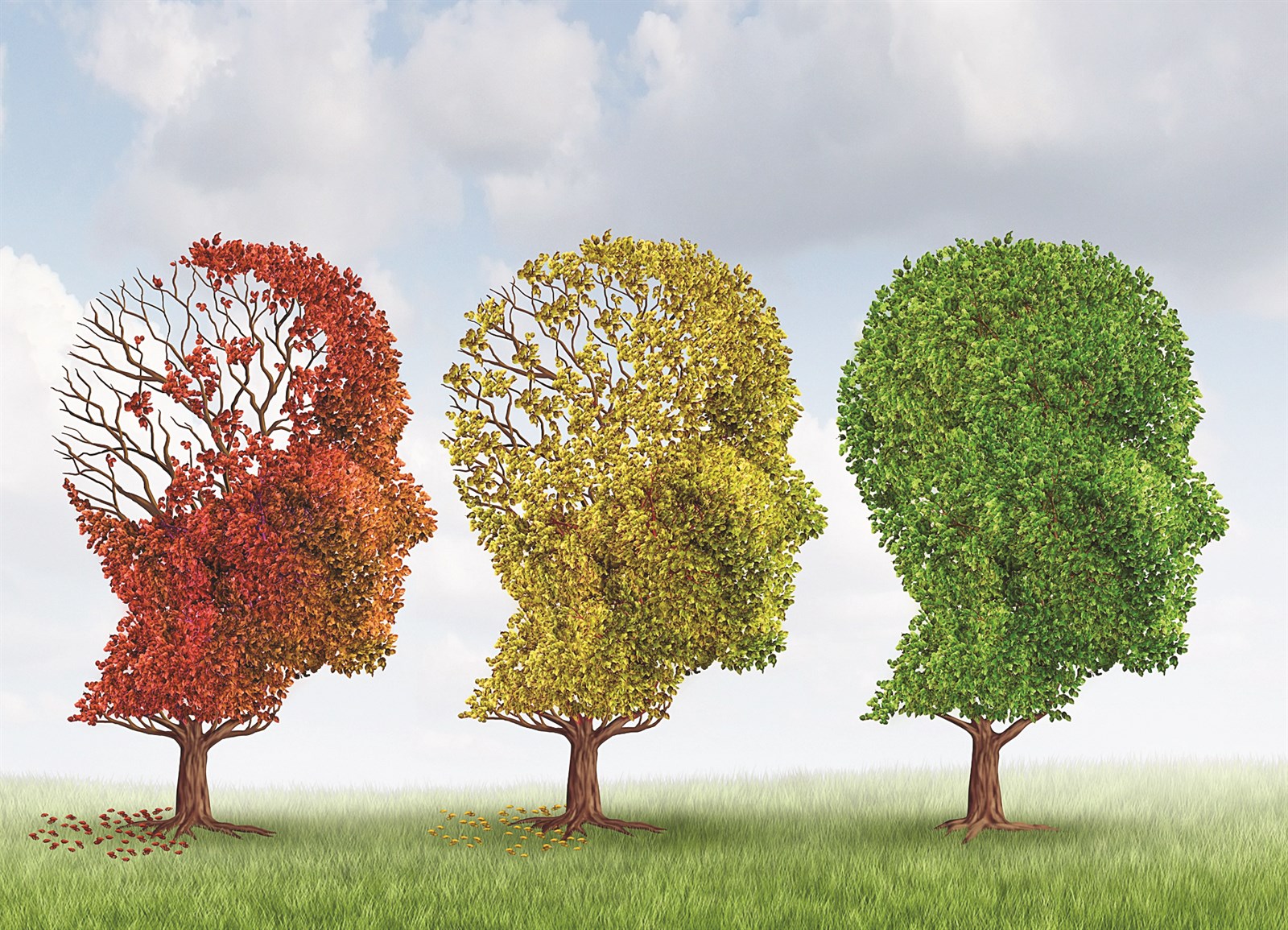 لكل عضو في جسمك شيخوخة مستقلة تبدأ في سن معينة وتكون بمثابة «خريف» ممتد خاص به