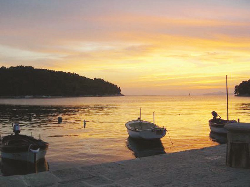 u00abu0625u0646 u0631u0628u064a u0644u0637u064au0641 u0644u0645u0627 u064au0634u0627u0621u00bb