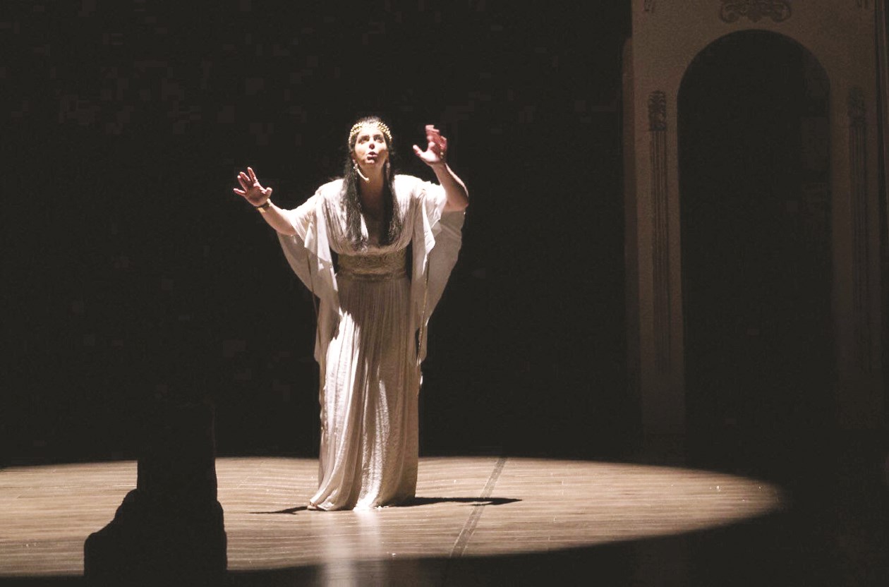 نورس... محبة لأرضها