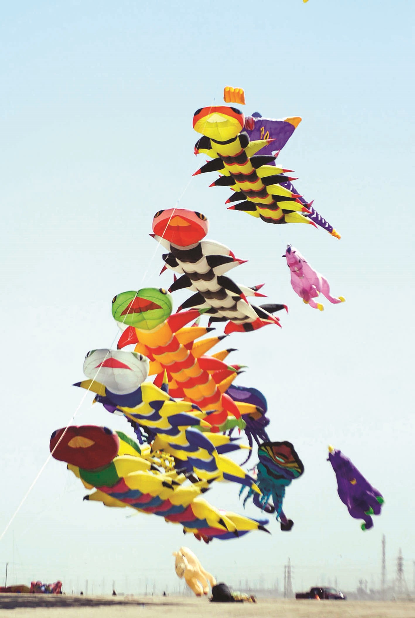 تشكيلات وألوان تحلق بنظام