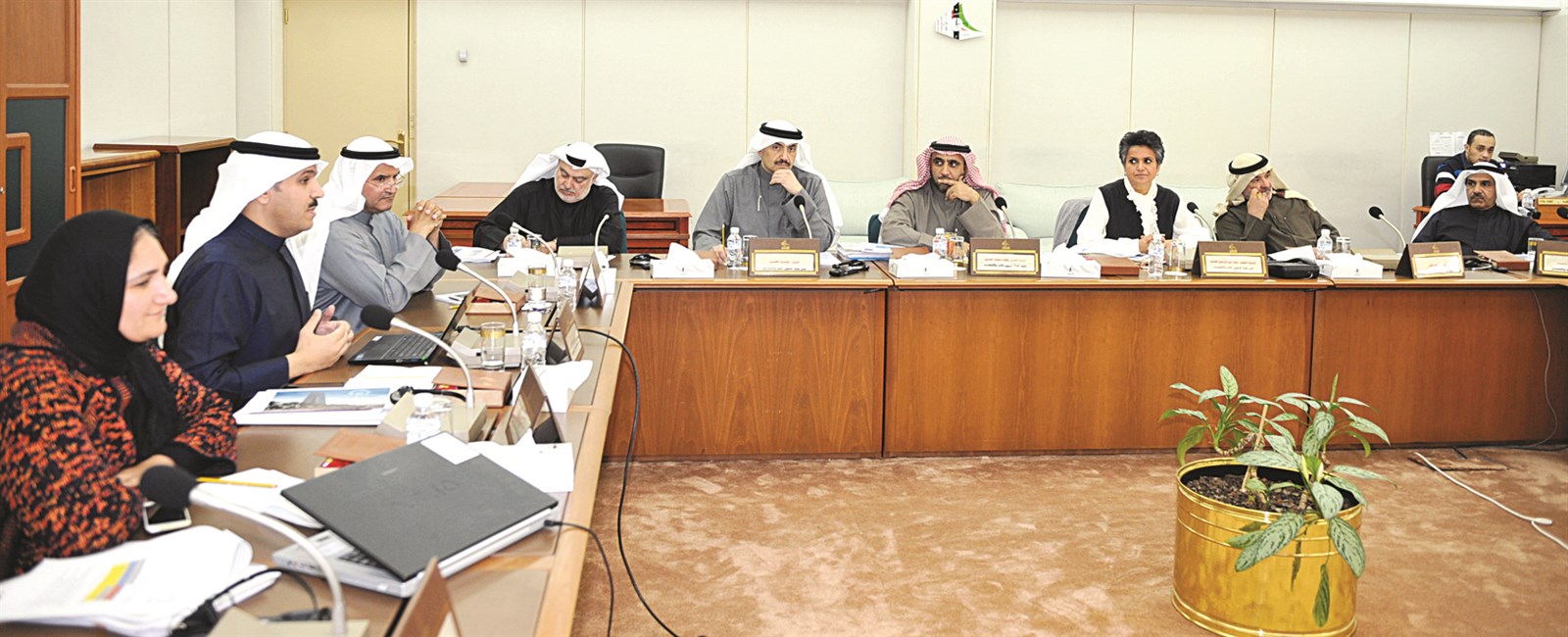 u0627u0644u0647u0627u0634u0644 u0645u062au062du062fu062bu0627 u0641u064a u0627u062cu062au0645u0627u0639 u0627u0644u0644u062cu0646u0629 u0627u0644u0645u0627u0644u064au0629 u0628u062du0636u0648u0631 u0648u0632u064au0631 u0627u0644u0646u0641u0637