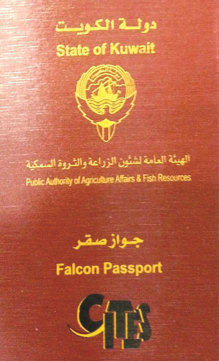 u062cu0648u0627u0632 u0633u0641u0631 u0623u062du062f u0627u0644u0635u0642u0648u0631