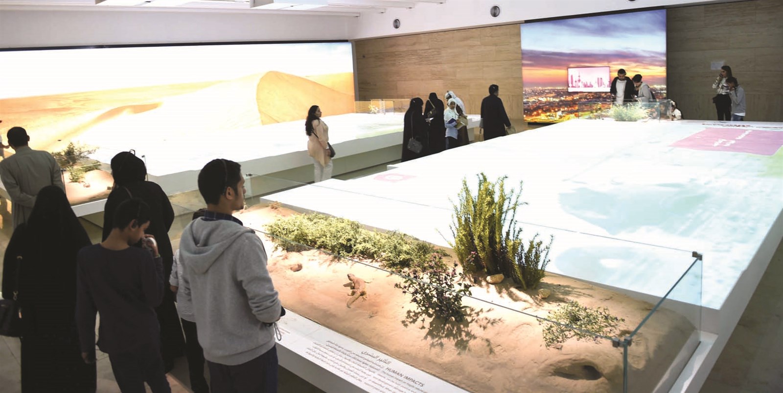 مجسم يعبر عن الطبيعة الكويتية