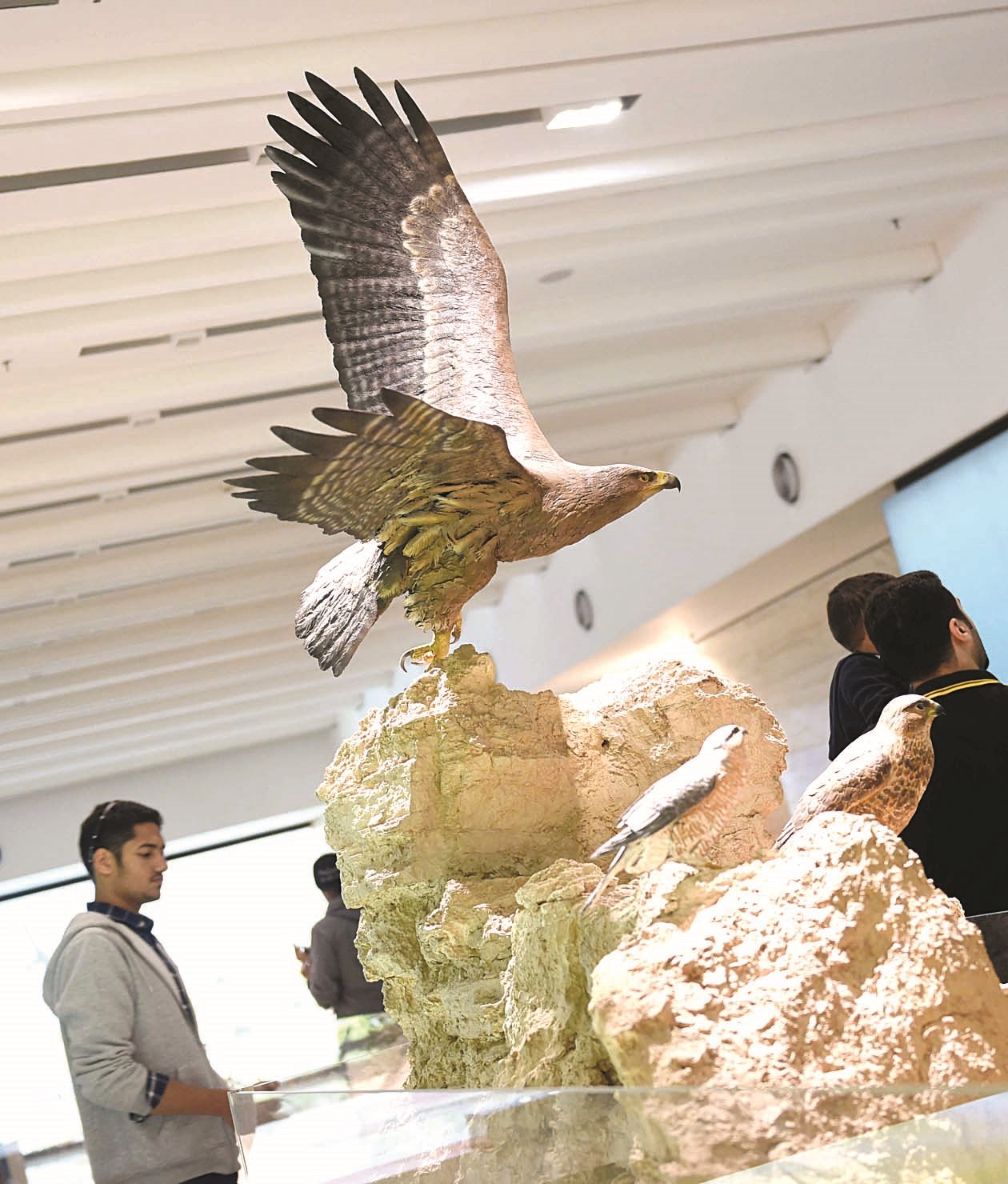 مجسمات طيور