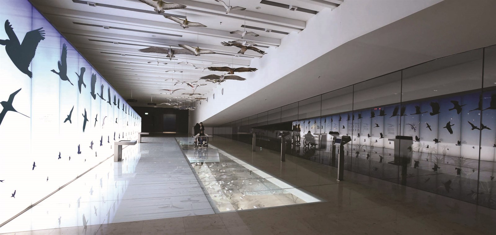 ركن بيئة الطيور