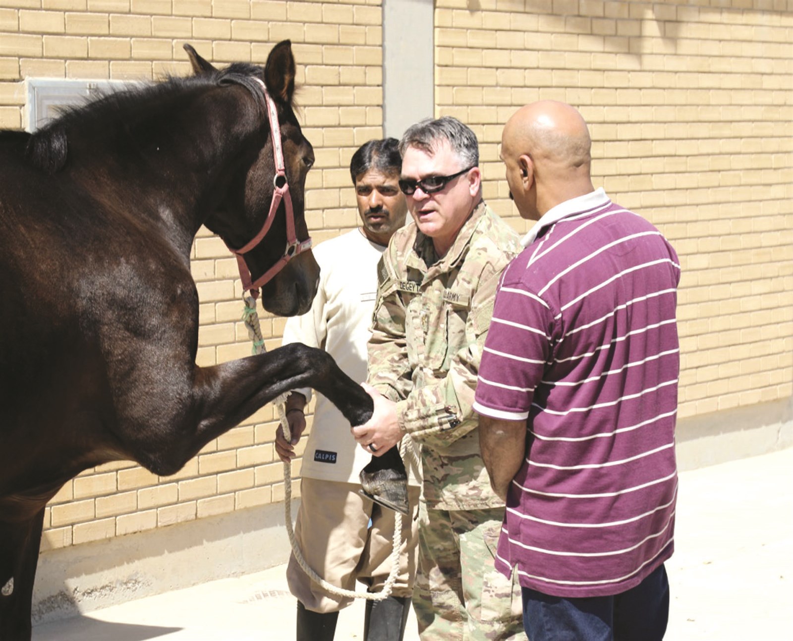 u0641u062du0635 u0644u0642u062fu0645 u062du0635u0627u0646