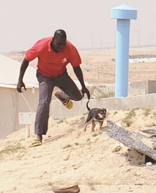 العامل ينطلق في أثر الجرو