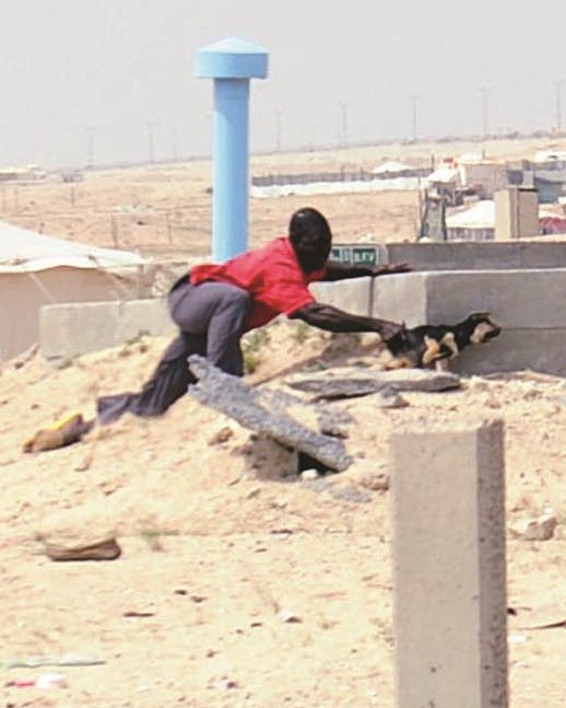 محاولة فاشلة للإمساك بالجرو