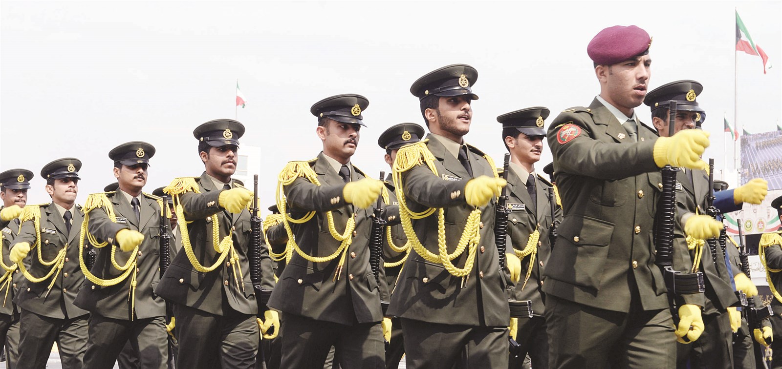 أناقة وتناسق (تصوير زكريا عطية)