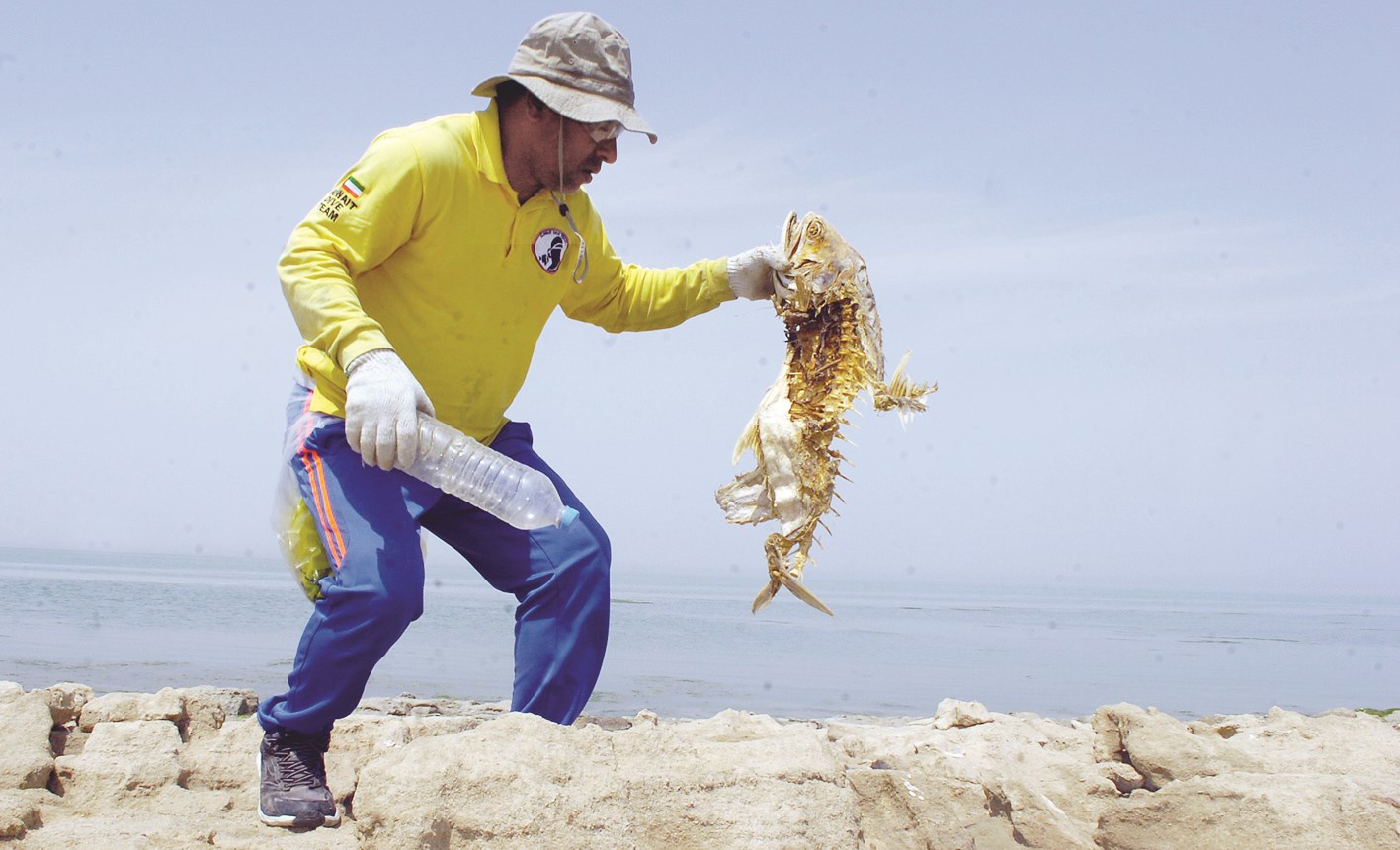 u0633u0645u0643u0629... u0647u064au0643u0644 u0639u0638u0645u064a (u062au0635u0648u064au0631 u0628u0633u0627u0645 u0632u064au062fu0627u0646)