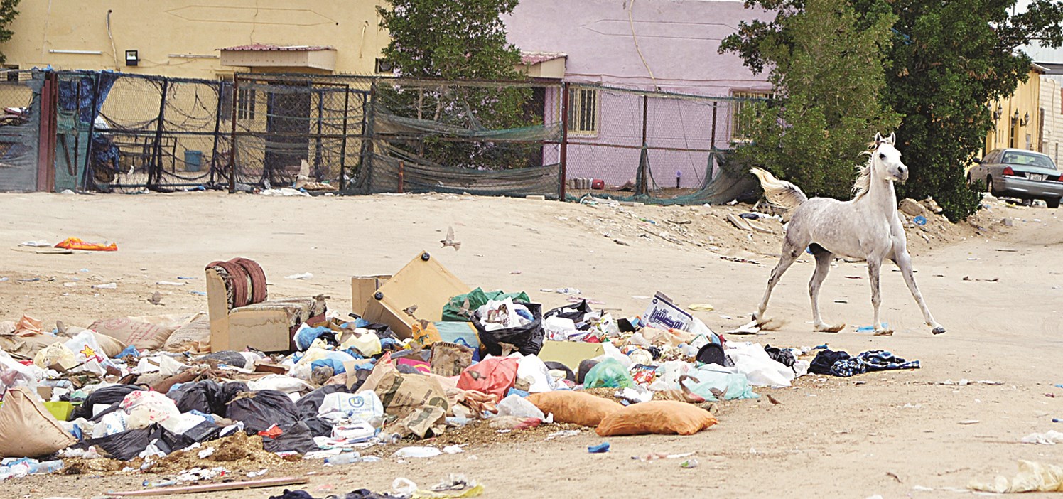 u062eu064au0644 u0648u0646u0641u0627u064au0627u062a (u062au0635u0648u064au0631 u0646u0627u064au0641 u0627u0644u0639u0642u0644u0629)